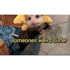 Meet your Posher, Kelli